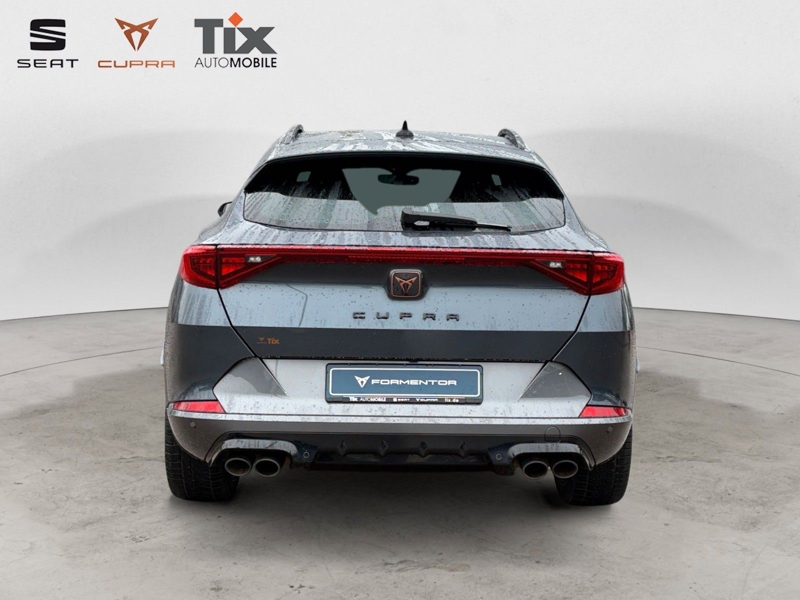 Fahrzeugabbildung CUPRA Formentor VZ 2.0 TSI DSG 4Drive Beats/Brembo/Kam