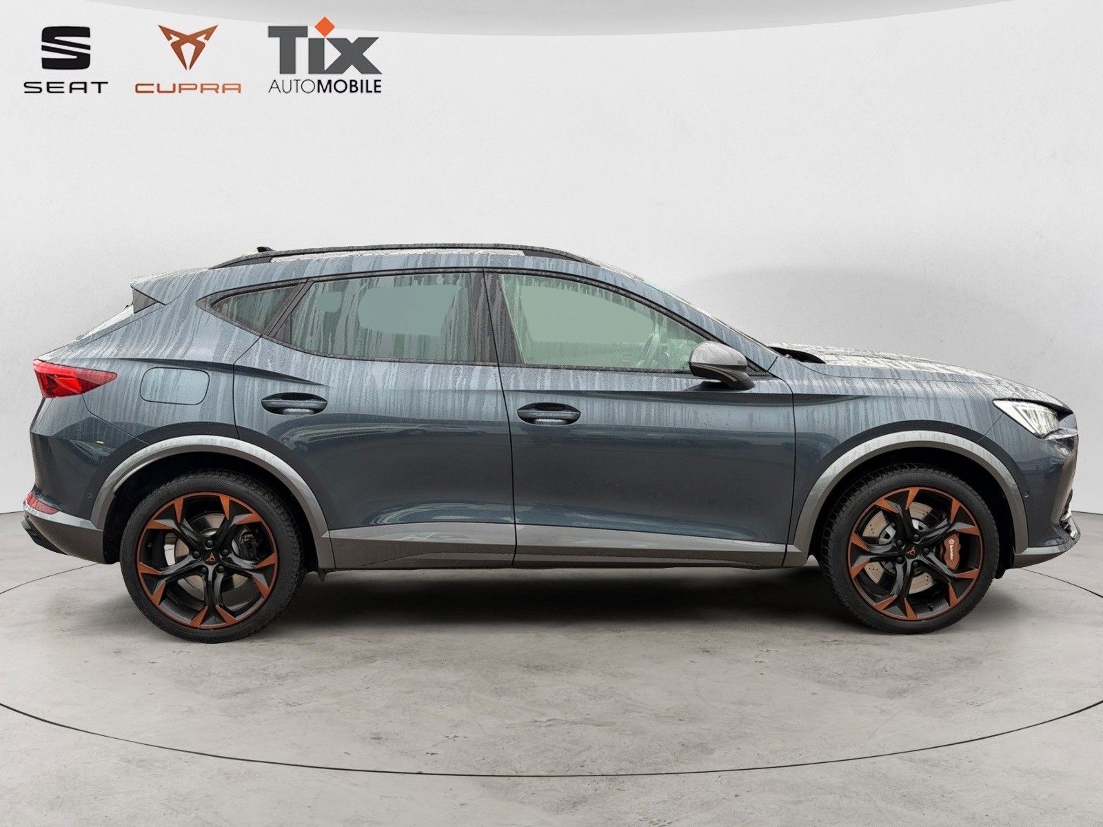 Fahrzeugabbildung CUPRA Formentor VZ 2.0 TSI DSG 4Drive Beats/Brembo/Kam