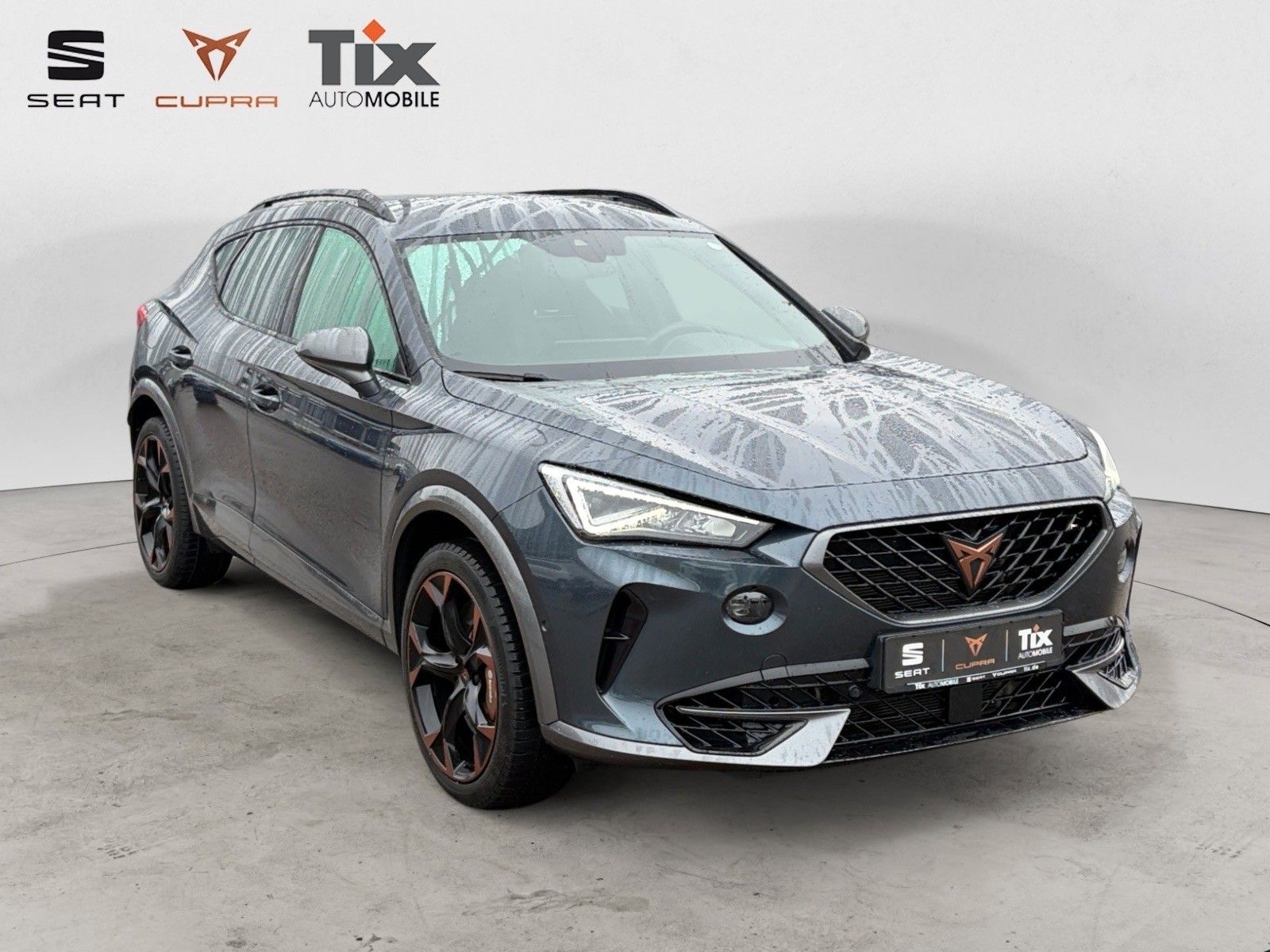 Fahrzeugabbildung CUPRA Formentor VZ 2.0 TSI DSG 4Drive Beats/Brembo/Kam