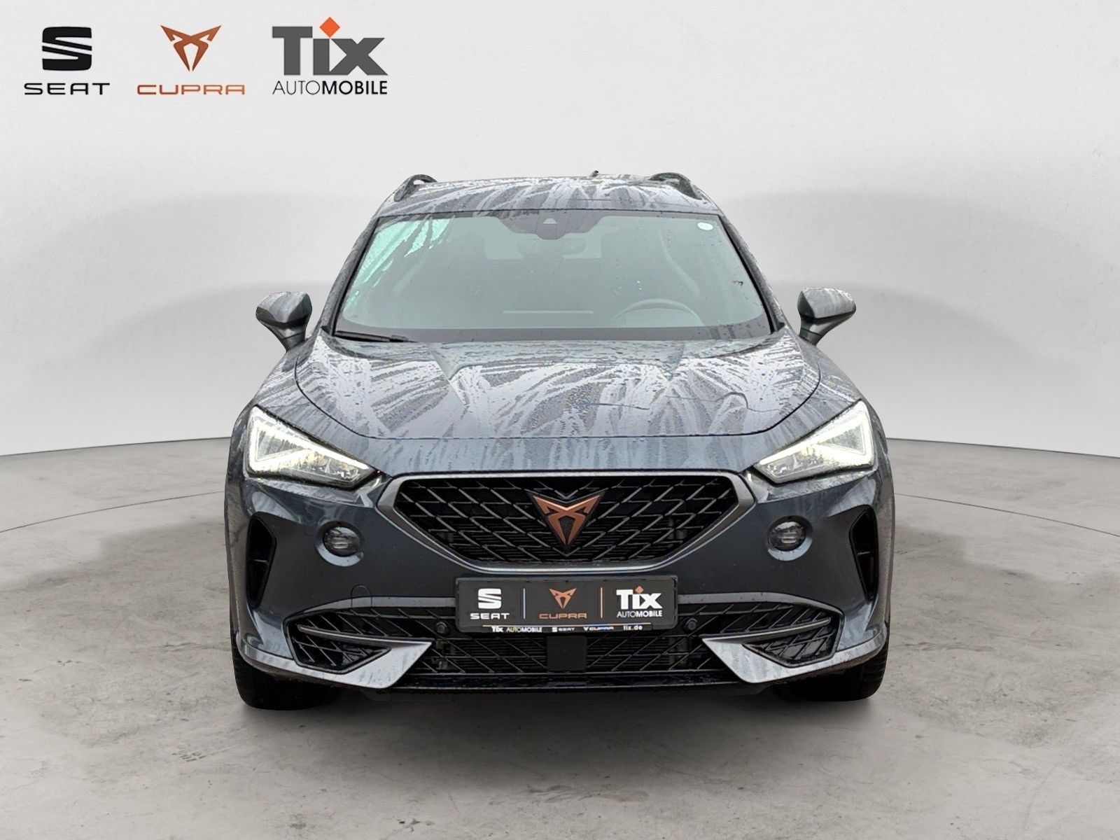 Fahrzeugabbildung CUPRA Formentor VZ 2.0 TSI DSG 4Drive Beats/Brembo/Kam
